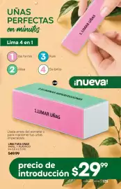 Catálogo Fuller Página 129