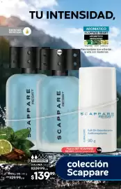 Catálogo Fuller Página 32