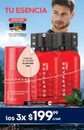 Catálogo Fuller Página 33
