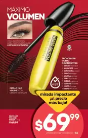 Catálogo Fuller Página 63