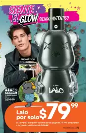 Catálogo Fuller Página 79