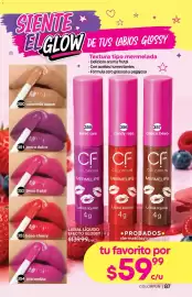 Catálogo Fuller Página 87