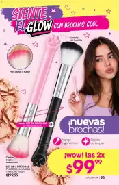 Catálogo Fuller Página 93