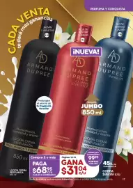 Catálogo Fuller Página 17