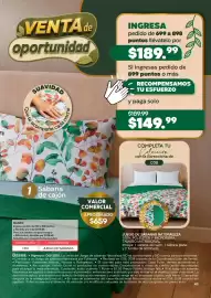Catálogo Fuller Página 41