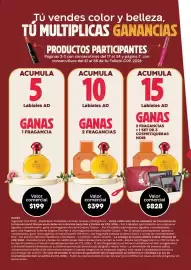 Catálogo Fuller Página 8
