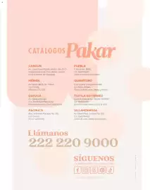 Catálogo SC Pakar Página 291
