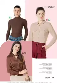 Catálogo SC Pakar Página 43