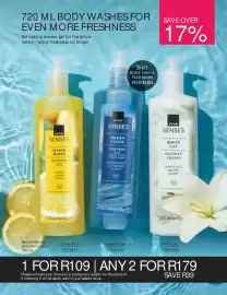 AVON catalogue Page 163