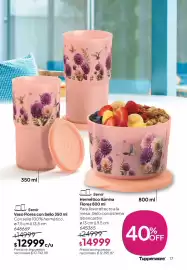 Folleto Tupperware Página 18