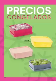 Folleto Tupperware Página 45