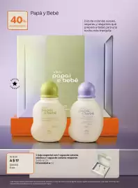 Catálogo Natura Página 13