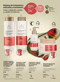 Catálogo Natura Página 91