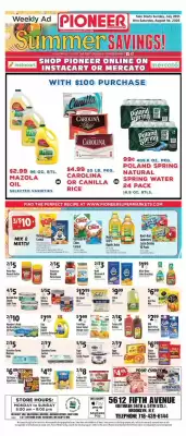Pioneer (valid until 1-08)