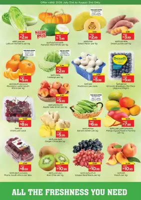 Nesto catalogue (valid until 2-08)