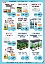 Volantino ZooPlanet Pagina 6: Wood Chips €3,25, Fieno Hay Roditori €3,99