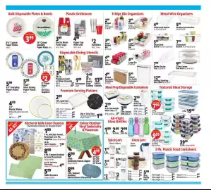 Ocean State Job Lot flyer week 31 Page 13