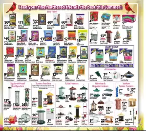 Ocean State Job Lot flyer week 31 Page 23