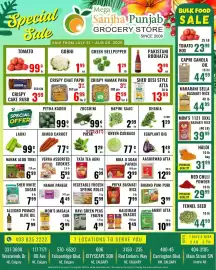 Mega Sanjha Punjab Grocery Store flyer week 31 Page 1