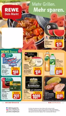REWE DE (gælder indtil 9-08)