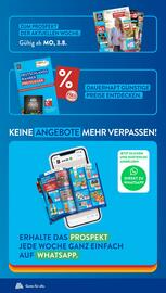 Aldi Süd Prospekt woche 34 Seite 22