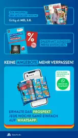 Aldi Süd Prospekt woche 34 Seite 22