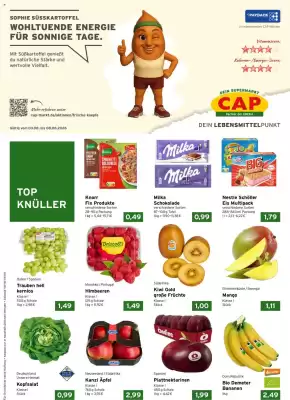 CAP Markt (gültig bis 8-08)