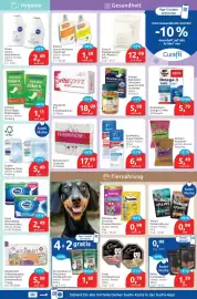 Budni Prospekt woche 33 Seite 5