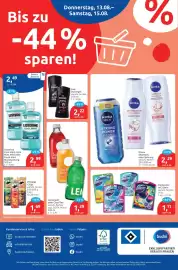 Budni Prospekt woche 33 Seite 8