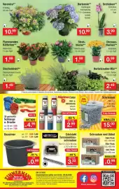 Zimmermann Prospekt woche 32 Seite 11