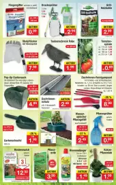 Zimmermann Prospekt woche 32 Seite 4