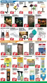 Wreesmann Prospekt woche 32 Seite 5