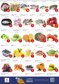 Nesto catalogue Page 4