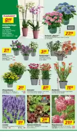 Toom Baumarkt Prospekt woche 32 Seite 6