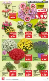 Kaufland Prospekt woche 32 Seite 27