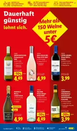 Lidl Prospekt Seite 19