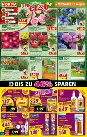 Norma Prospekt woche 33 Seite 13