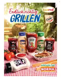 Norma Prospekt woche 33 Seite 28