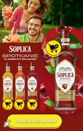 Biedronka gazetka | Alkohole Strona 4