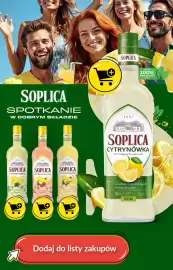 Biedronka gazetka | Alkohole Strona 5