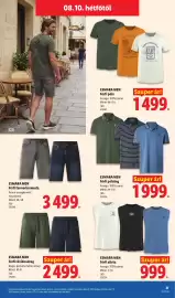 Lidl akciós újság hét 32 Oldal 29