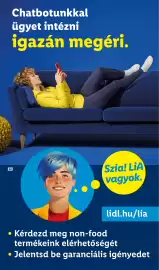 Lidl akciós újság hét 32 Oldal 30