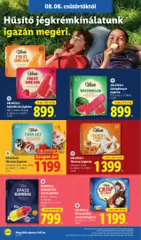 Lidl akciós újság hét 32 Oldal 22