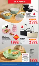 Lidl akciós újság hét 32 Oldal 61
