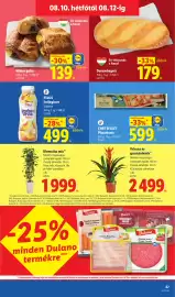 Lidl akciós újság hét 32 Oldal 67