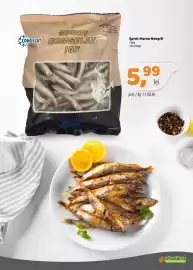 Catalog La Doi Pasi Pagină 5