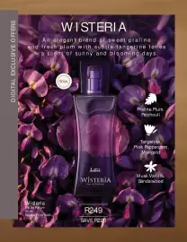 Justine brochure Page 20