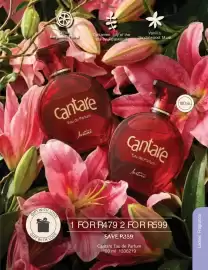 Justine brochure Page 5