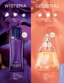 Justine brochure Page 62