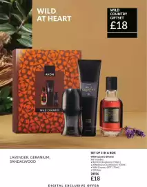 Avon catalogue Page 204